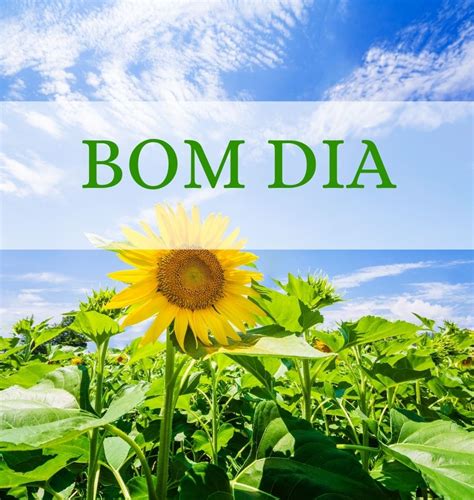 jili81|Bom dia  .